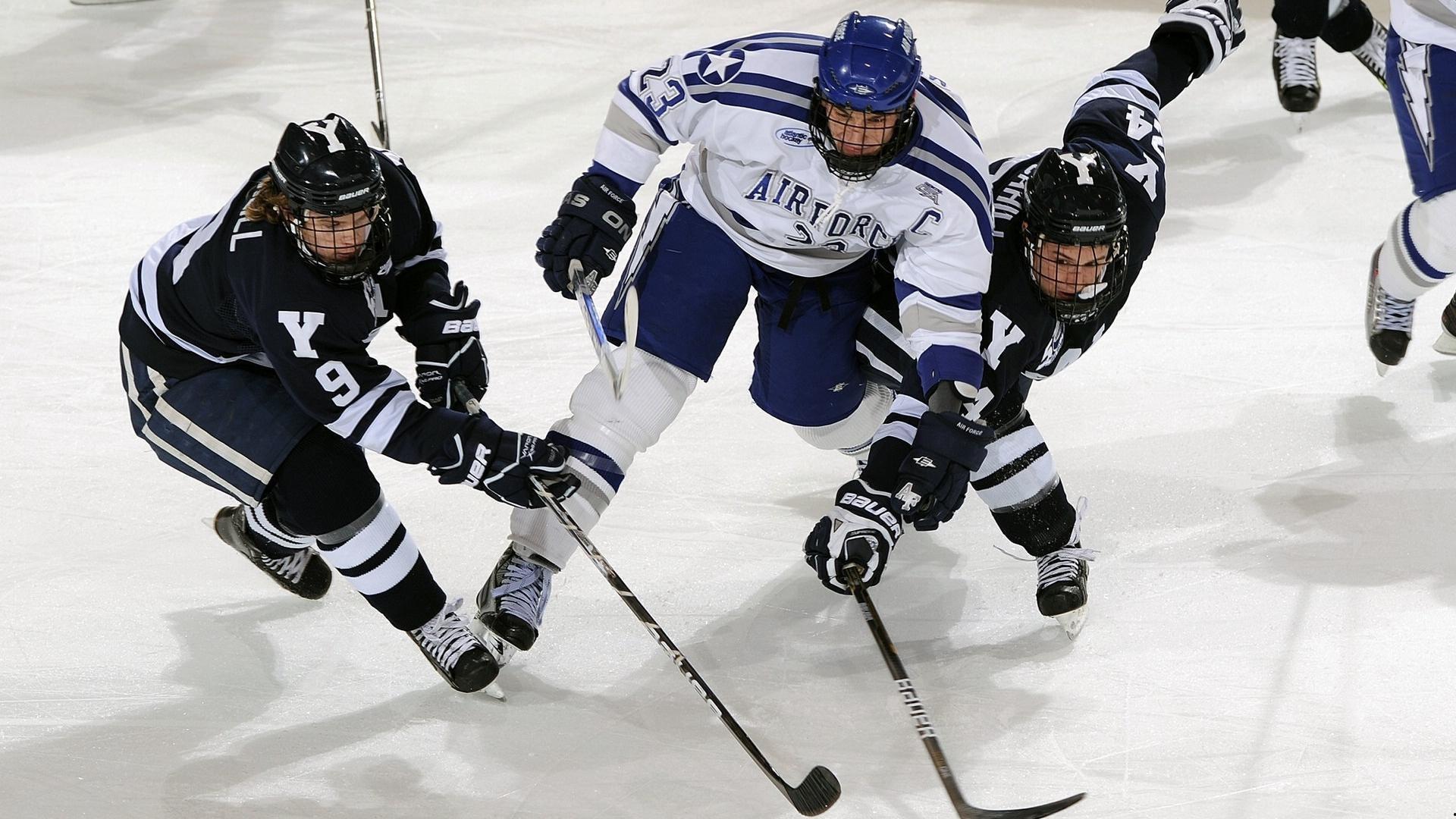 欧冠终极预言!神犬阿奇再出山,这次它能延续百分百命中率吗?